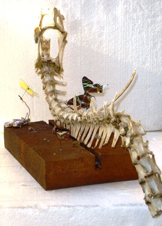 Indagine 